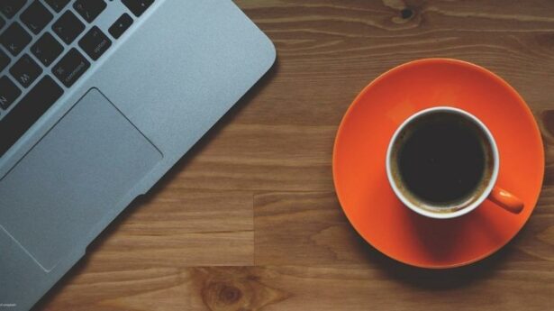 Sitio – o melhor local para networking  